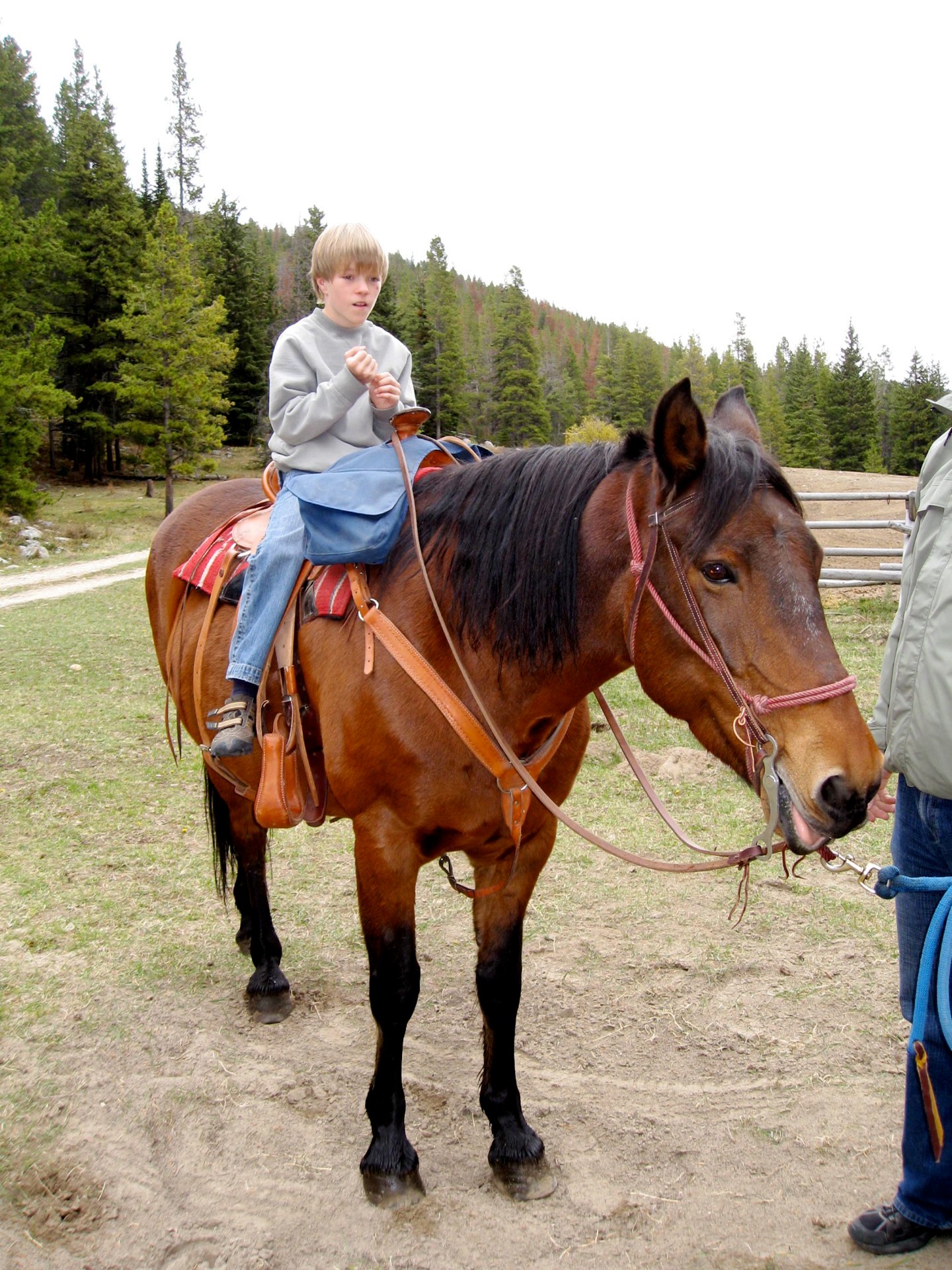 Montana photo 120