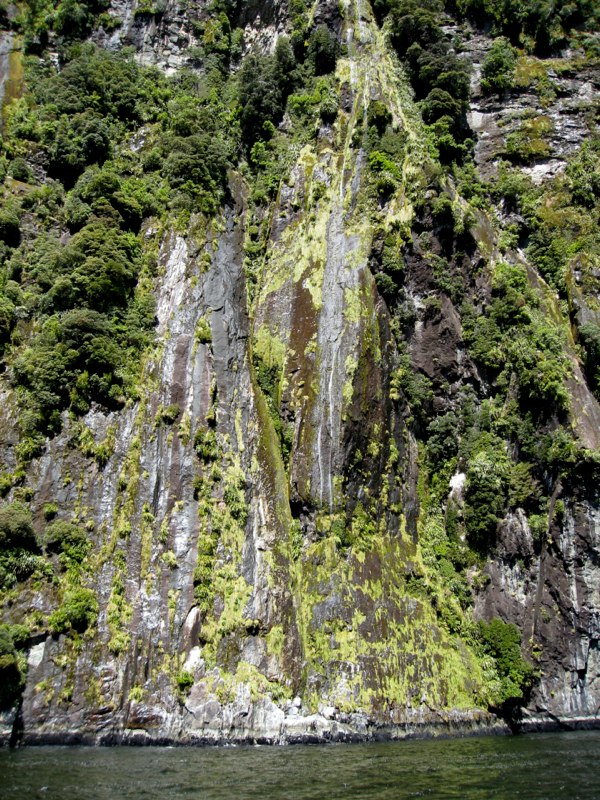 NZ Queenstown &Milford sounds photo 46