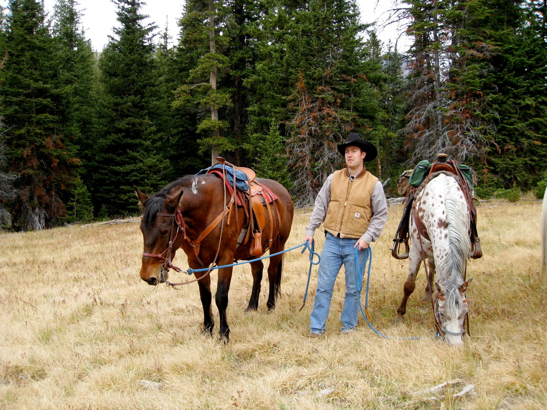 We went horseback rinding