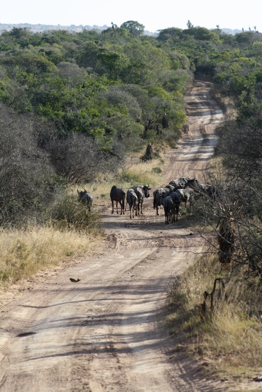 Eastern Cape photo 23