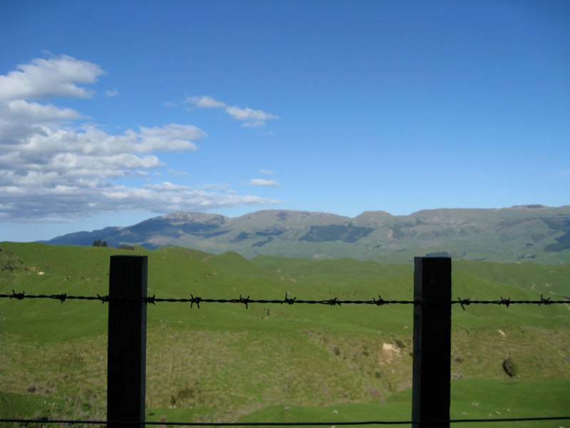 NZ Taupo photo 25
