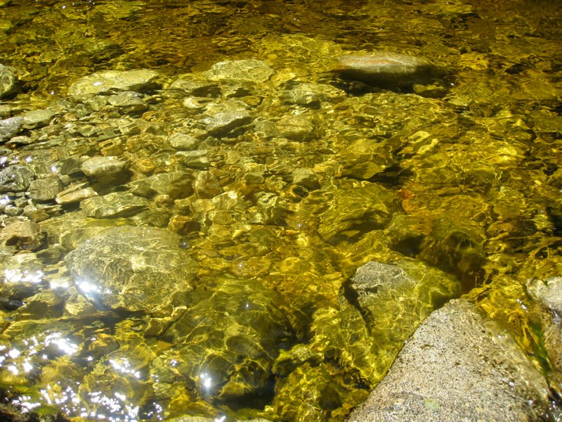 stones in water
