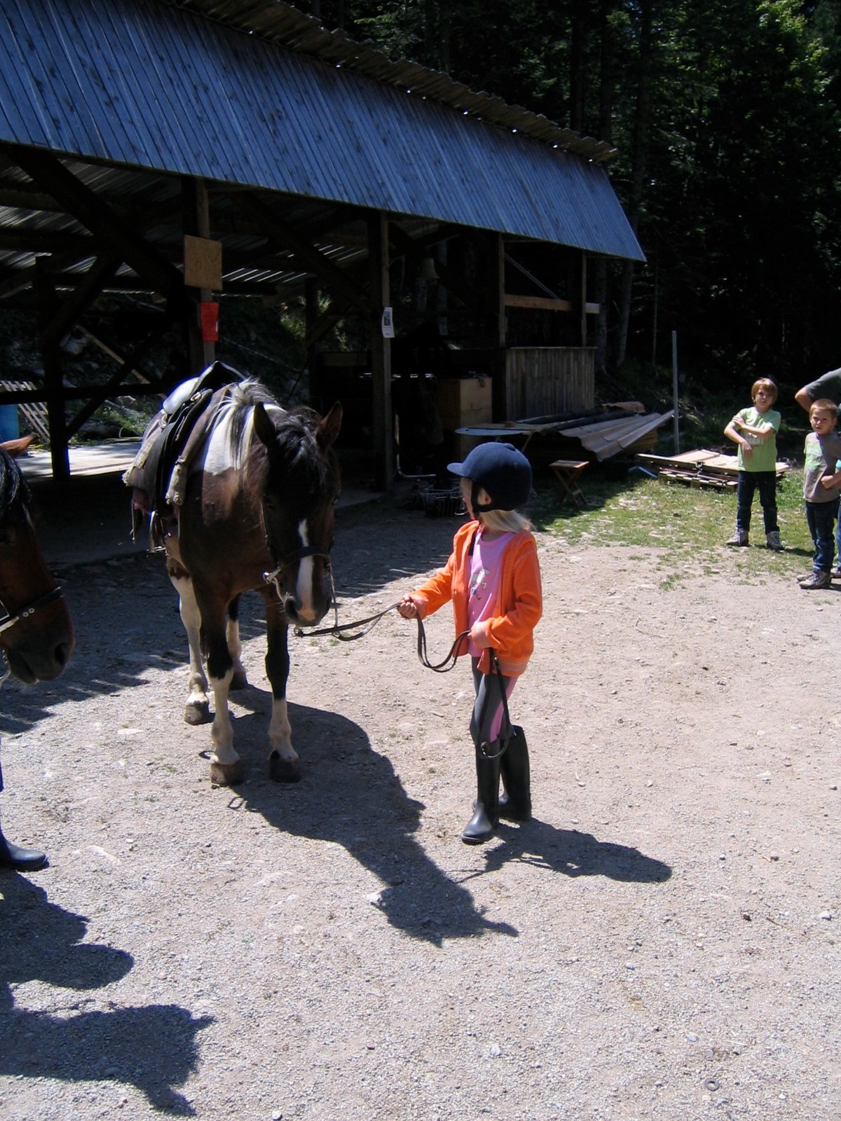 Horse back riding trip July 24 photo 3