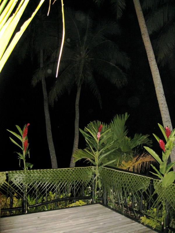 Night shot of the deck where we ate our dinner