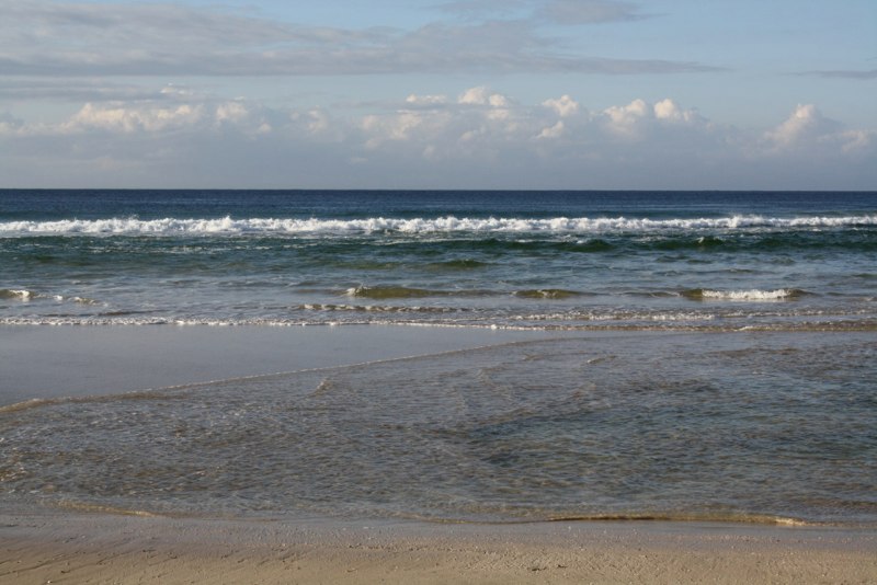Garden Route photo 17
