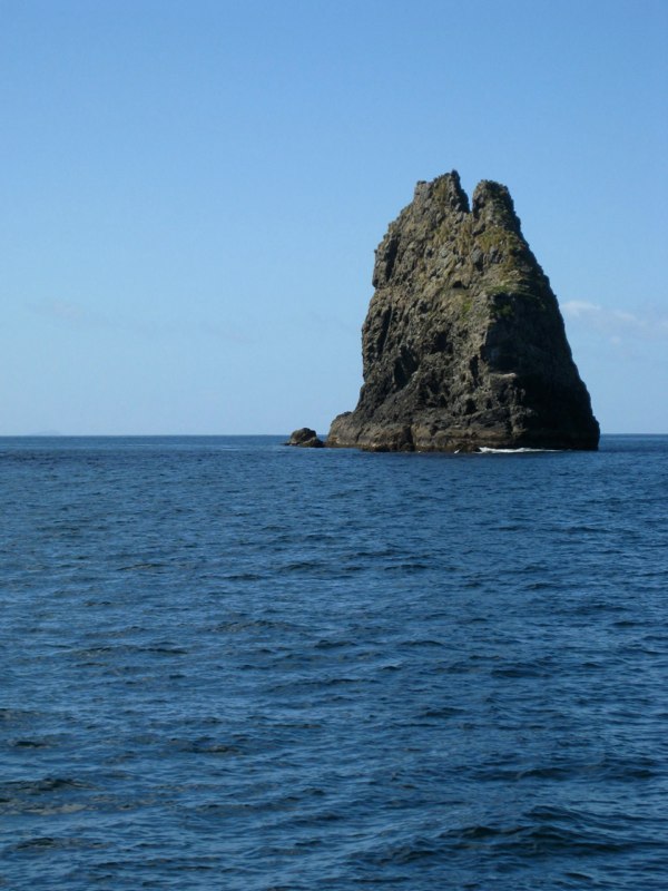 New Zealand-North Island photo 31