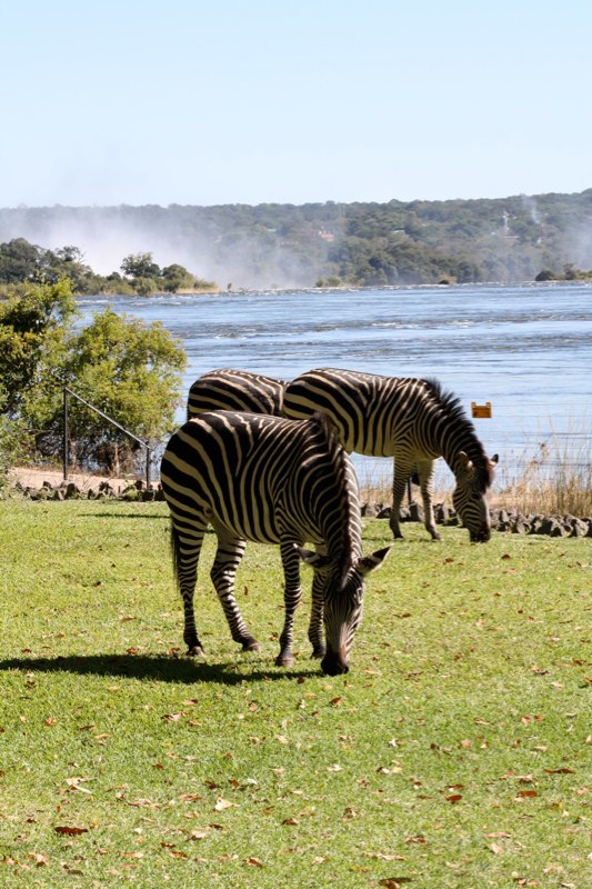 Zambia photo 45