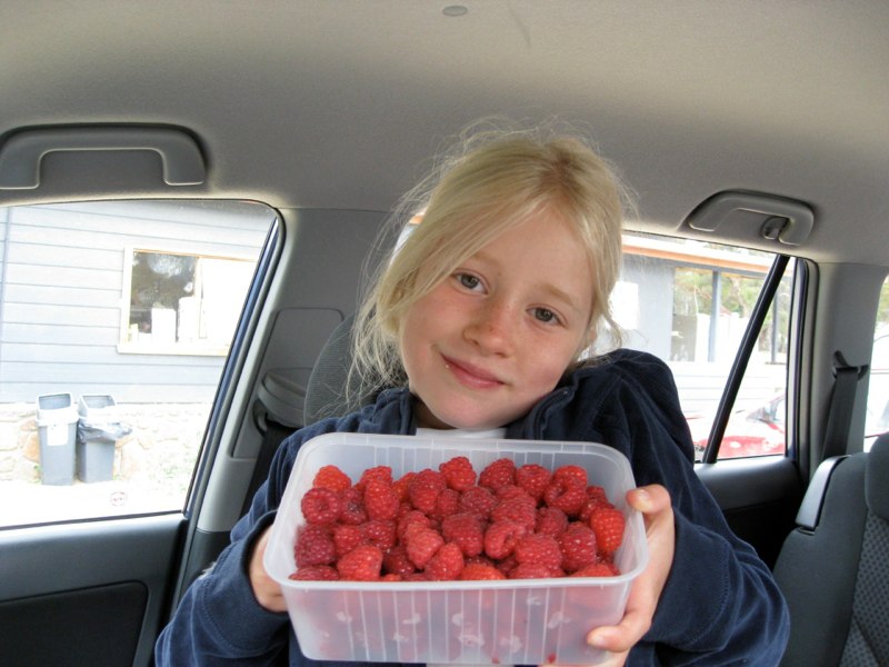 AUS-Tasmania photo 64
