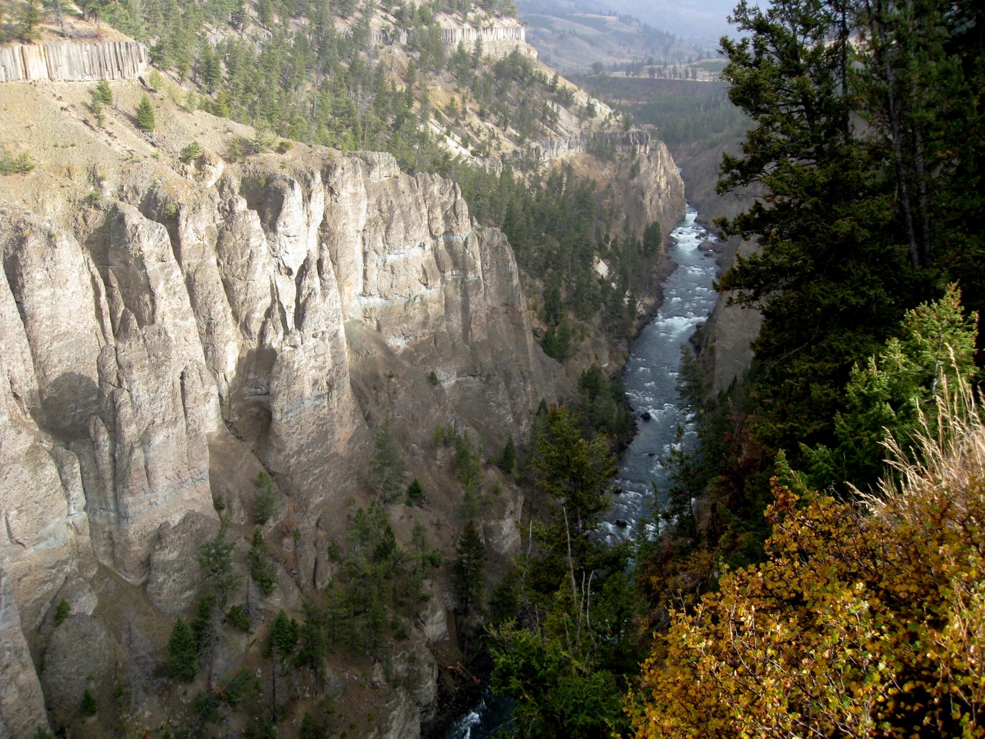 Montana photo 28