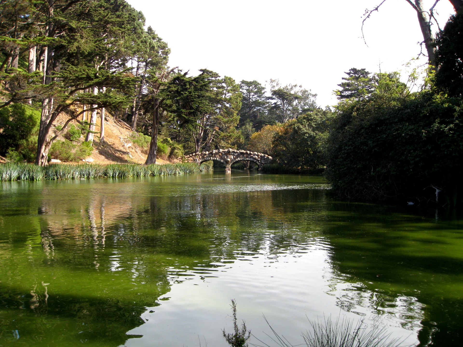 San Francisco photo 43
