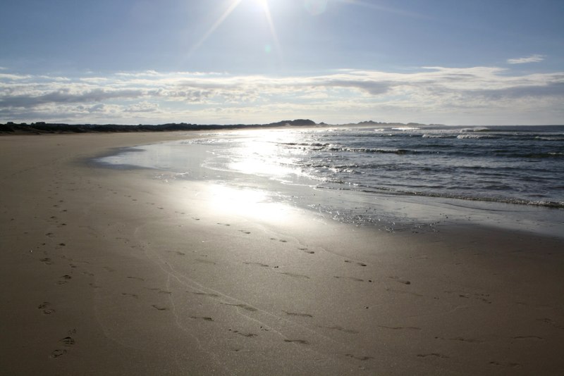 Silver sea in Cape St. Francis