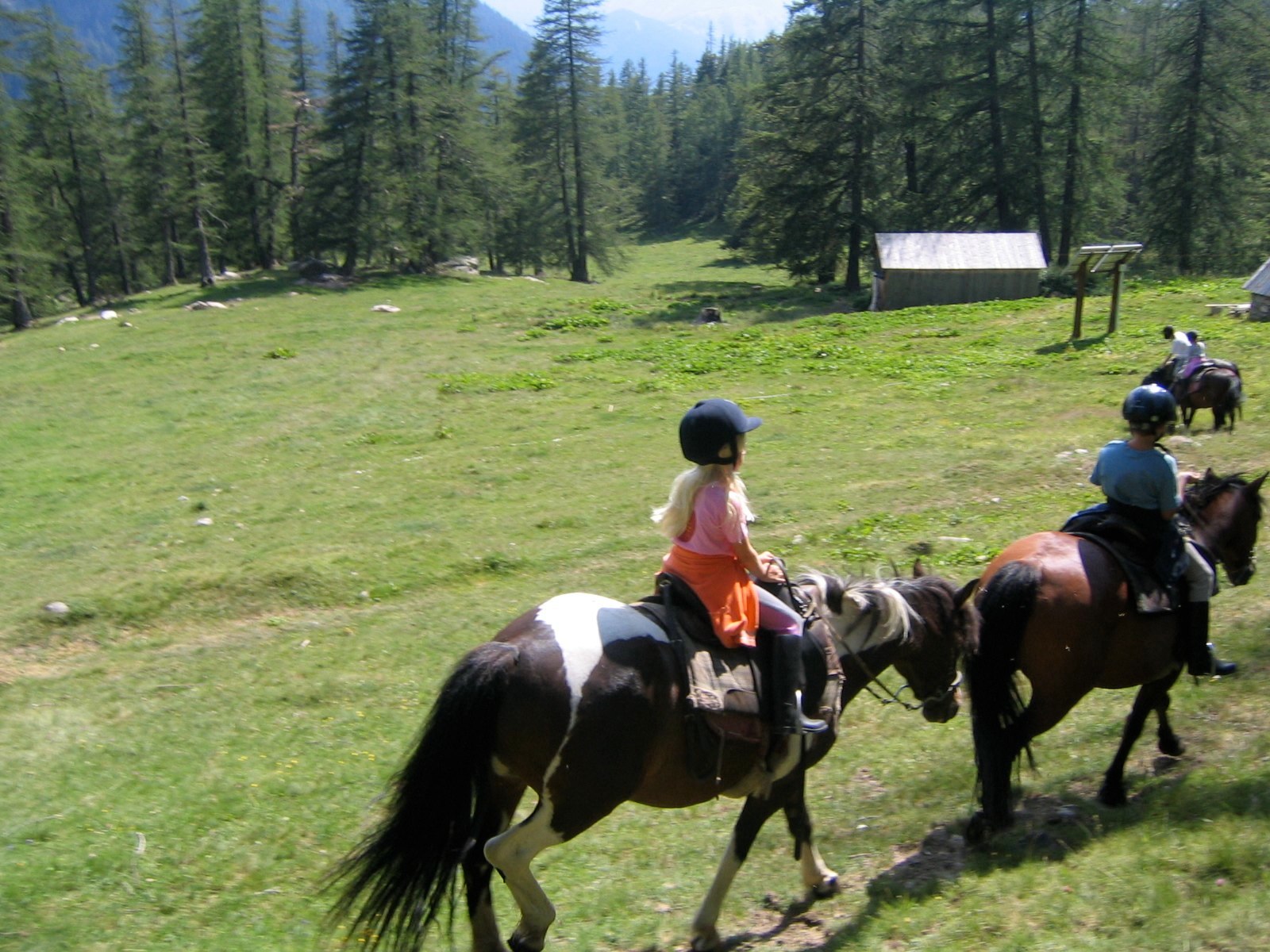 Horse back riding trip July 24 photo 24