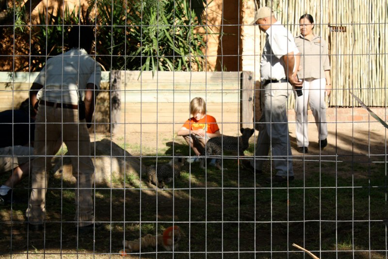 Oskar petting a cheetah...Estelle was to young (cried)
