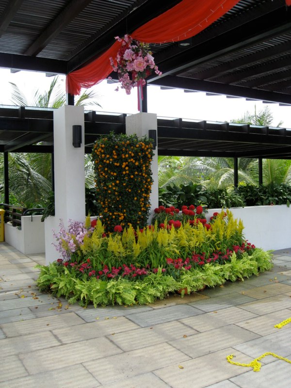 Singapore photo 4