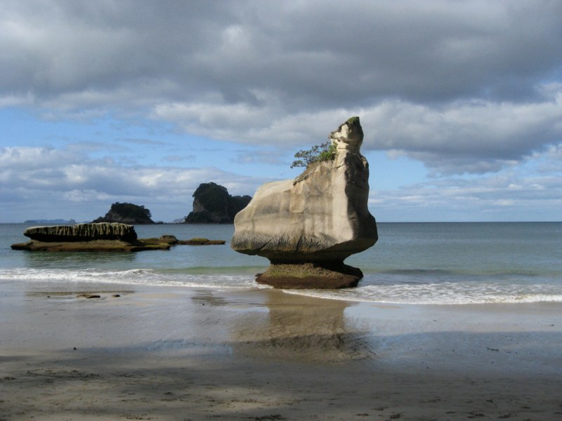 NZ Coromandel photo 46
