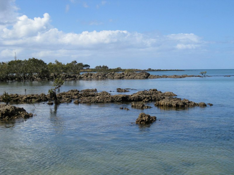 New Zealand-North Island photo 17