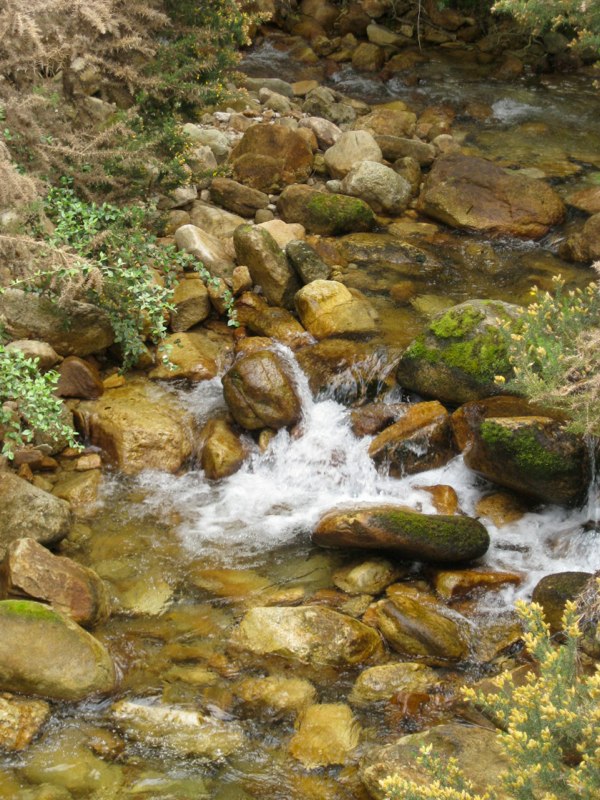 NZ Kaikoura photo 7