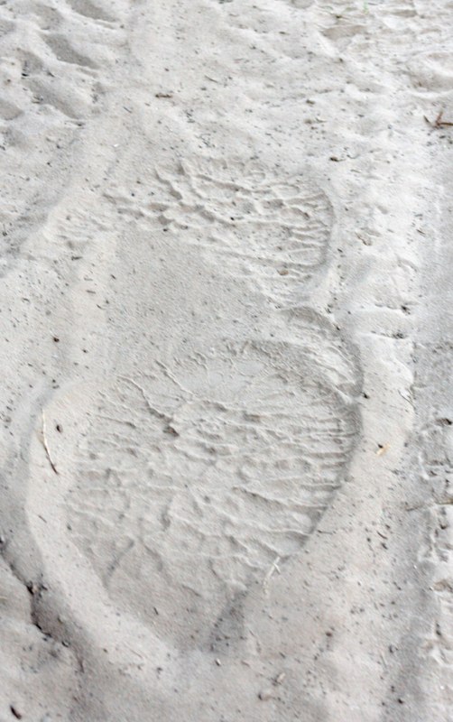 Foot print of an elephant