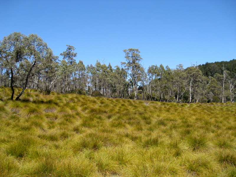 AUS-Tasmania photo 33