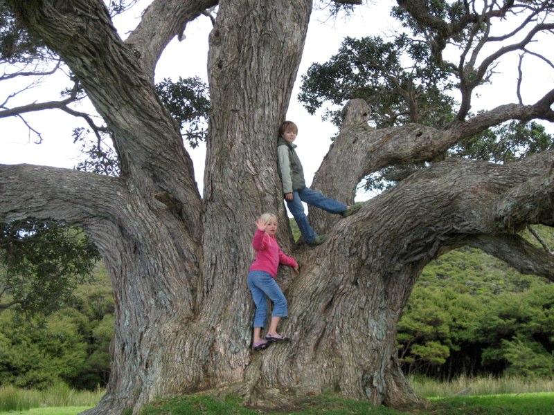 New Zealand-North Island photo 40