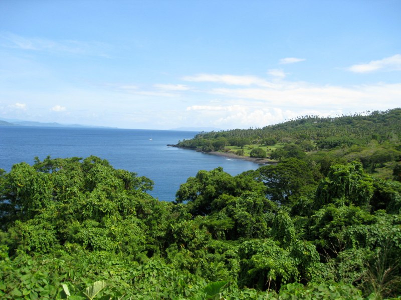 a very green Island