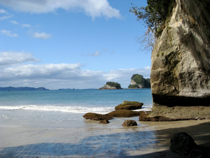 NZ Coromandel photo 39