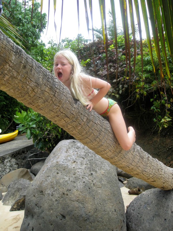 AHH it hurts to climb a palm tree!