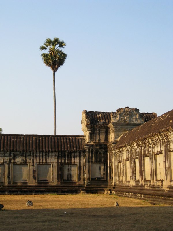 Cambodia photo 99