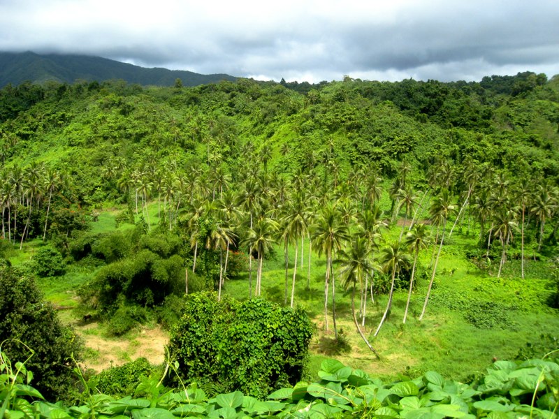 View from our tip to Lavena