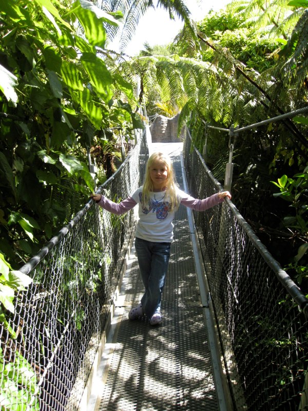 NZ Nelson photo 7