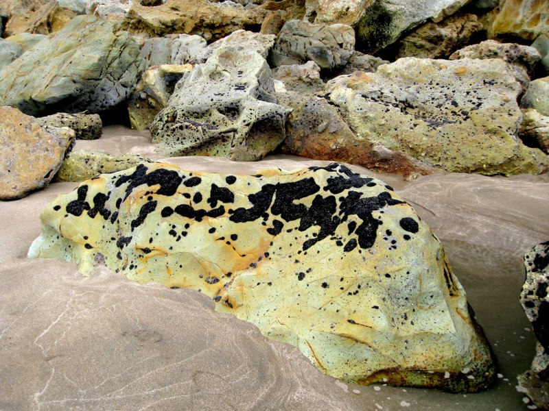 NZ Coromandel photo 32