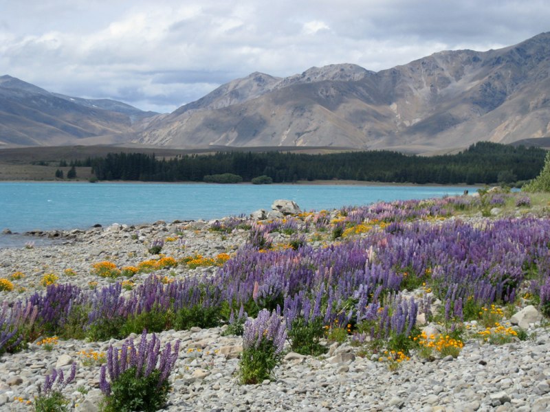 Lake Tekapo