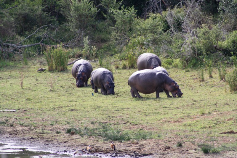 Eastern Cape photo 66