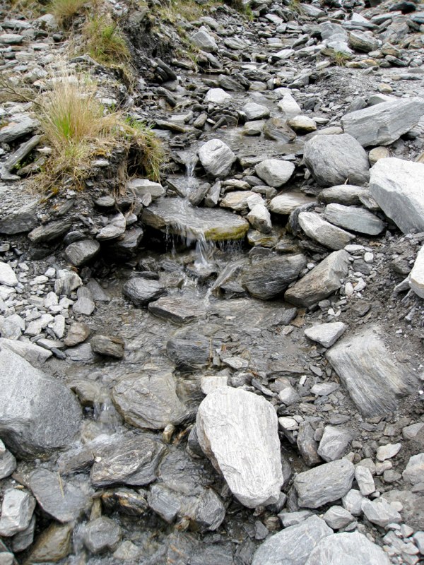 NZ Glacier Album photo 34