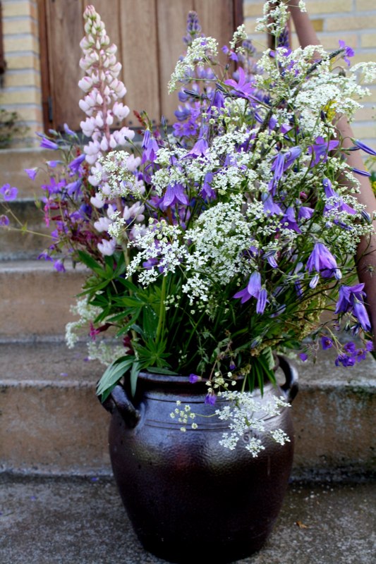 wild flowers