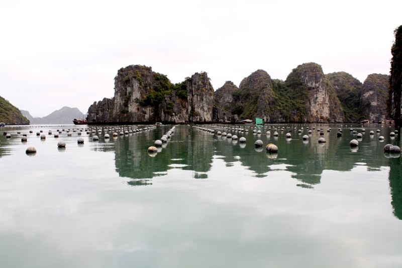 Vietnam photo 55