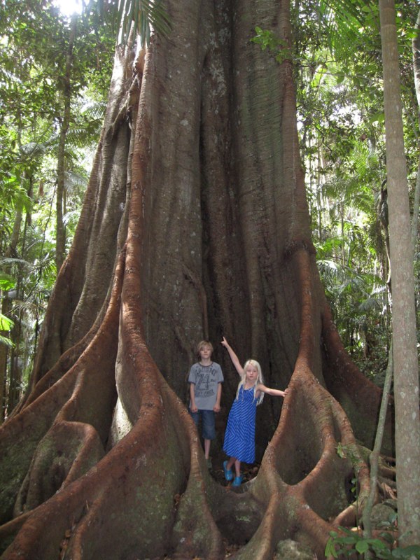 Chek the SIZE of this tree