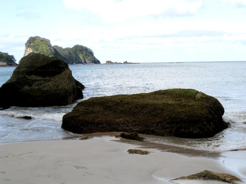 NZ Coromandel photo 41