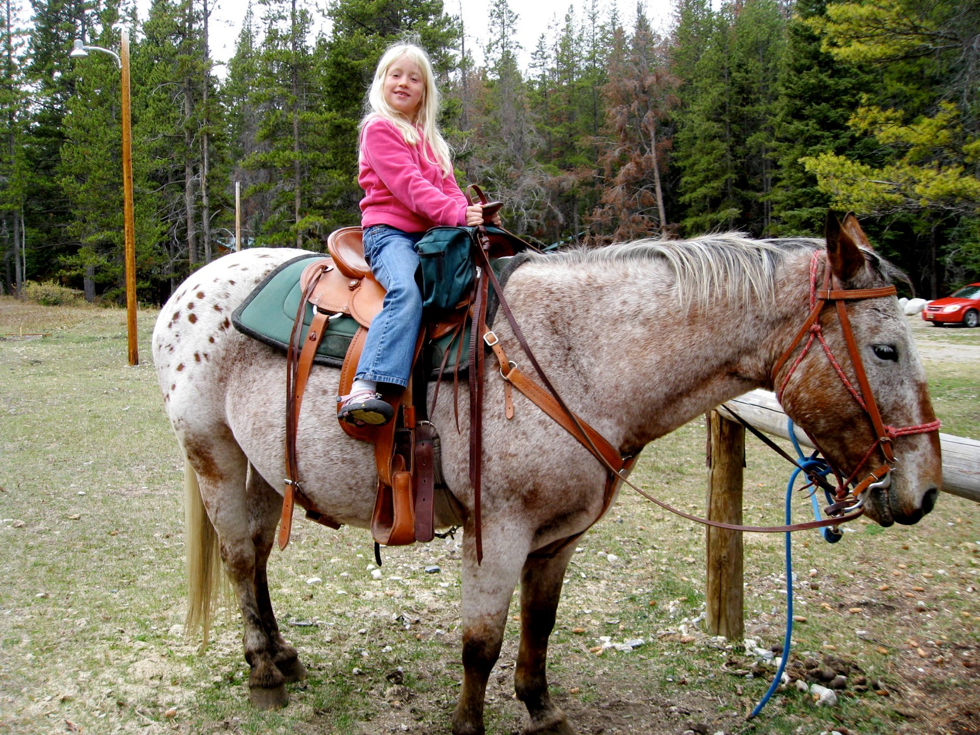 Montana photo 116