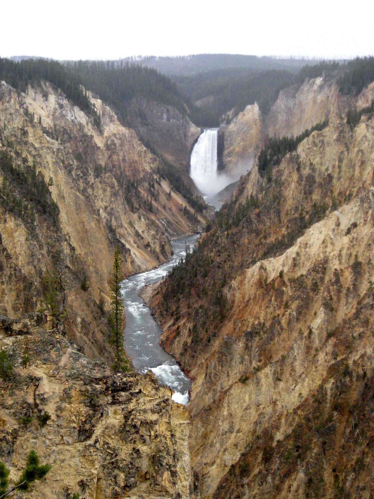 Montana photo 36