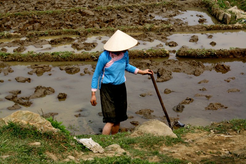 Sapa photo 40