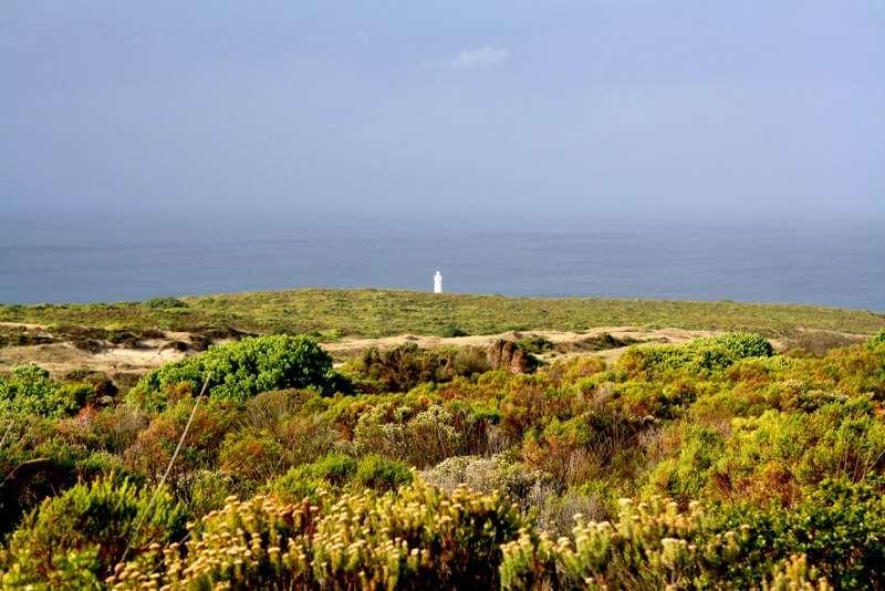 Garden Route 2 photo 29