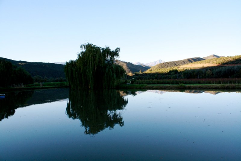 Oudtshoorn