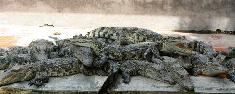 Vietnam 2 photo 60