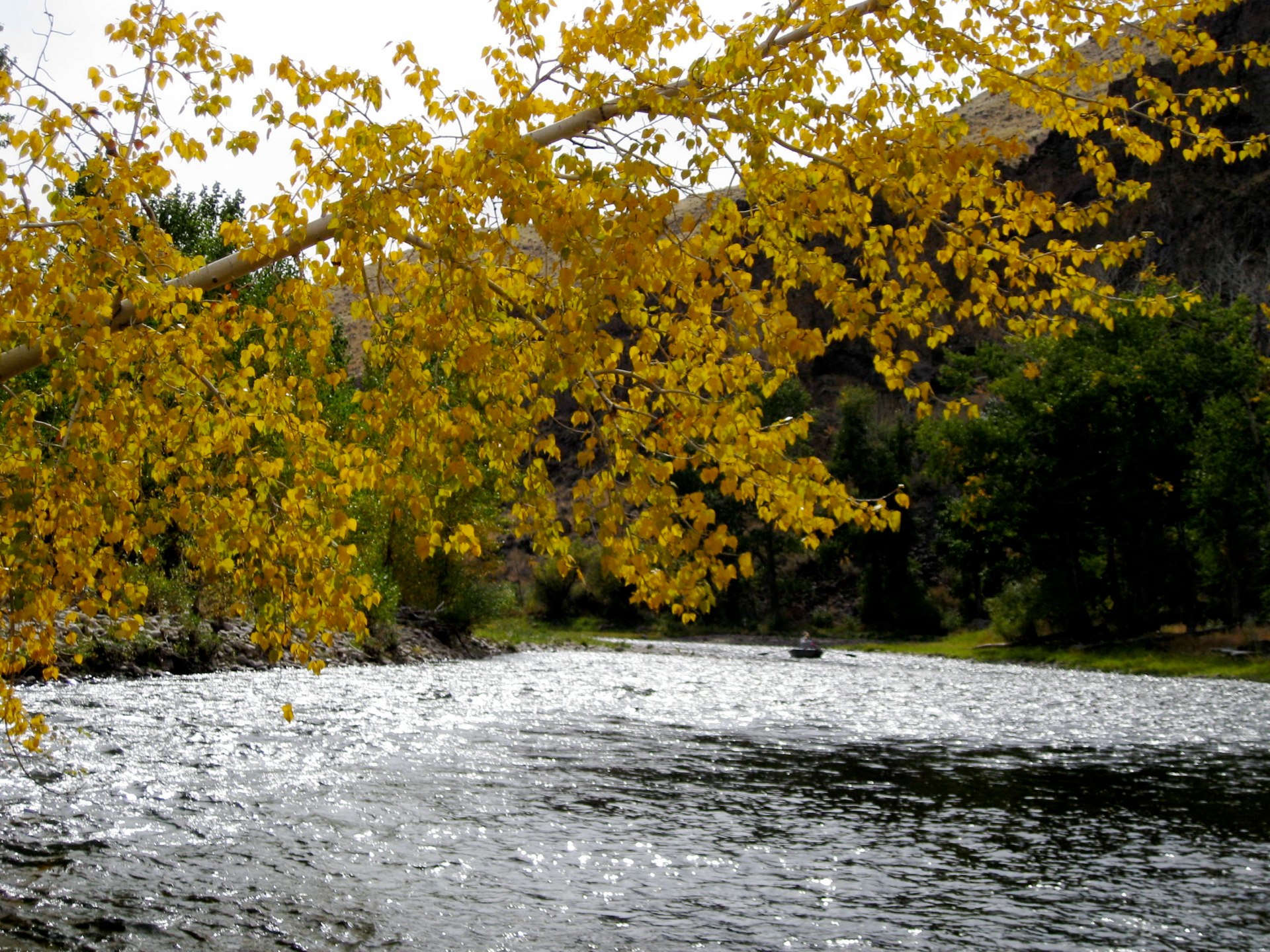 Montana photo 113