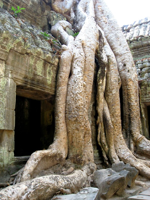 Cambodia