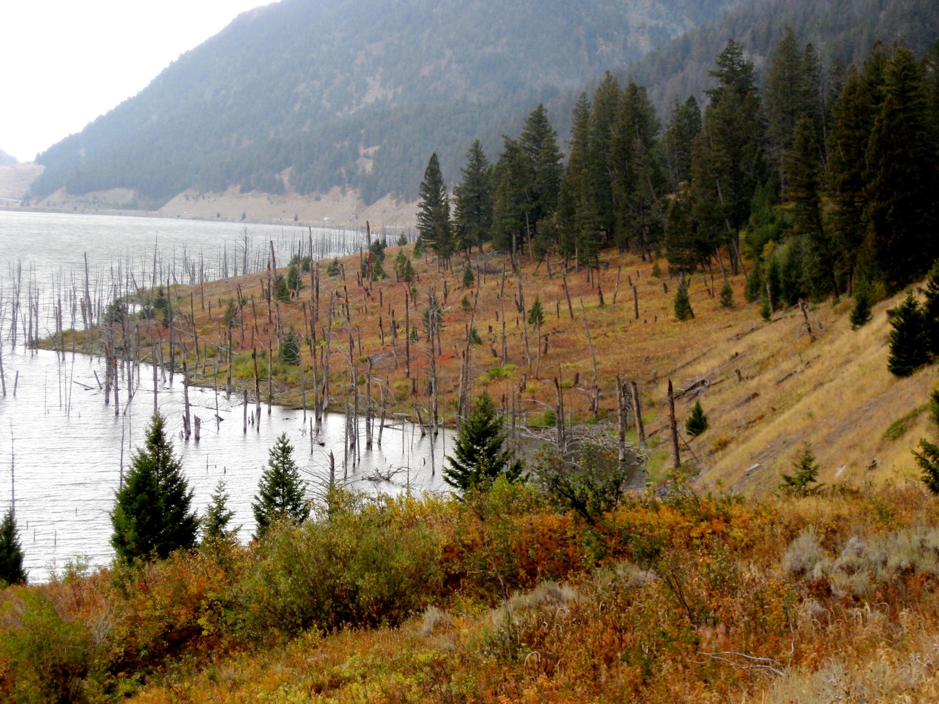 Montana photo 80