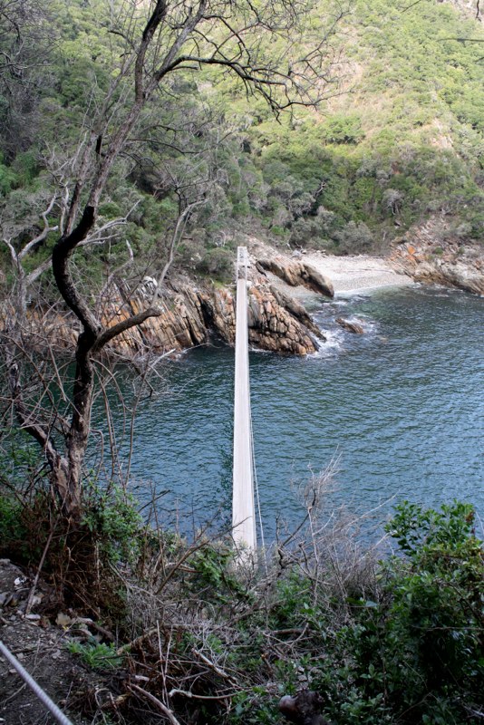 Garden Route photo 28