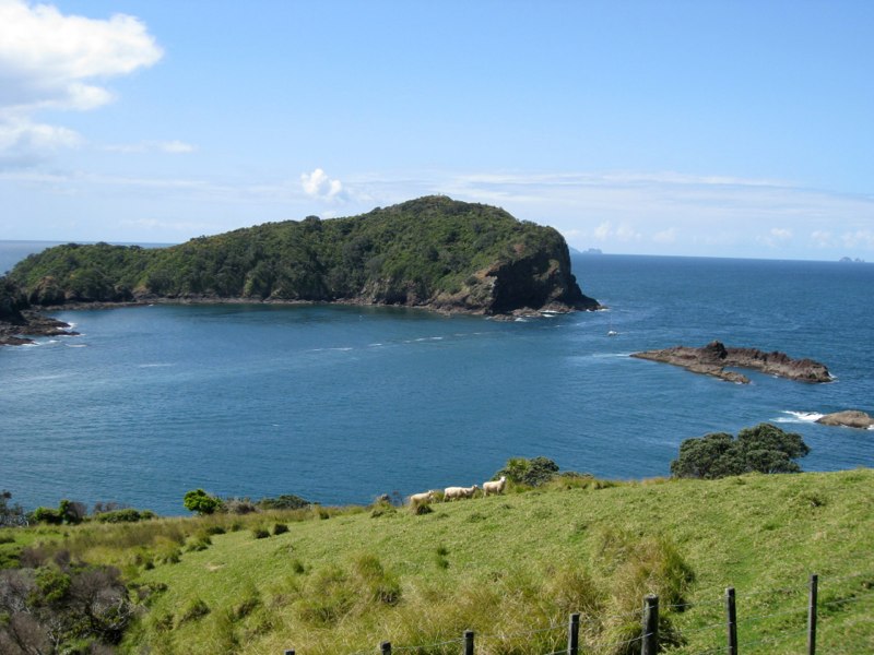 Our view from our room in Tutukaka
