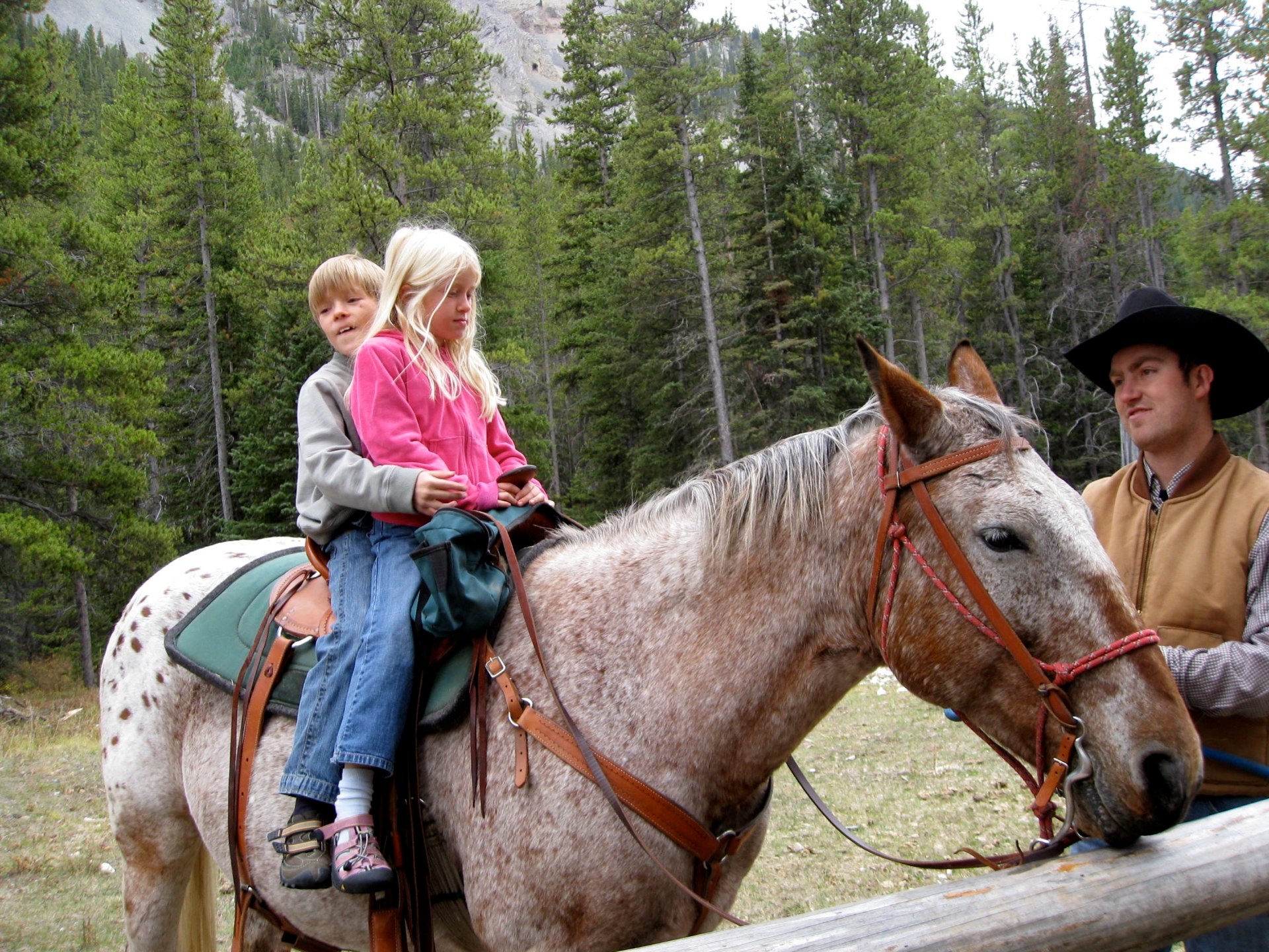 2 at 1 horse